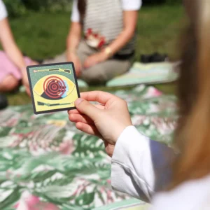 Vukodlaci Mlinarevog Dola karta iz igre