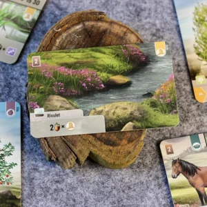 forest shuffle dartmoor karte